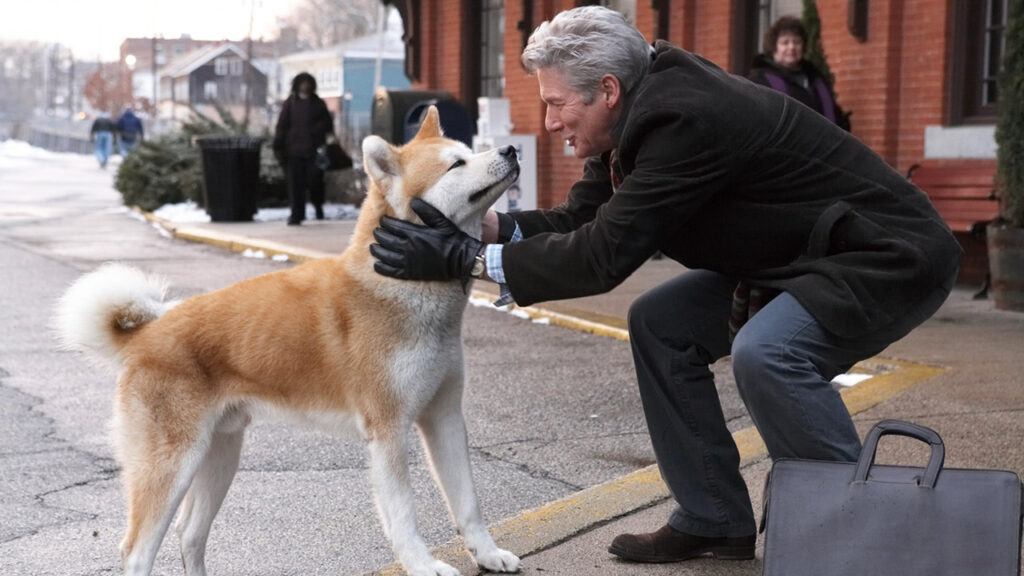 Hachiko – Il tuo migliore amico: la commovente storia vera di fedeltà che ha ispirato il film con Richard Gere