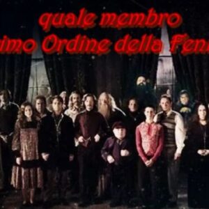Harry Potter Quiz: quale membro del Primo Ordine della Fenice sei?