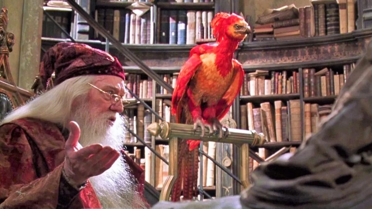 Harry Potter Quiz: in quale casa di Hogwarts verrebbe smistato il tuo