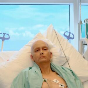 Litvinenko