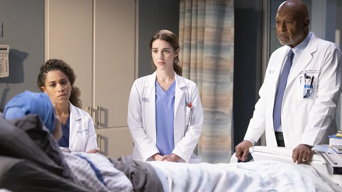 Grey's Anatomy: la serie Abc rinnovata per la sua ventesima stagione 1 Grey's Anatomy.