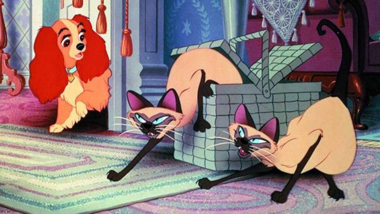 Disney Quiz: quale gatto della Disney assomiglia di più al tuo? 3 Disney