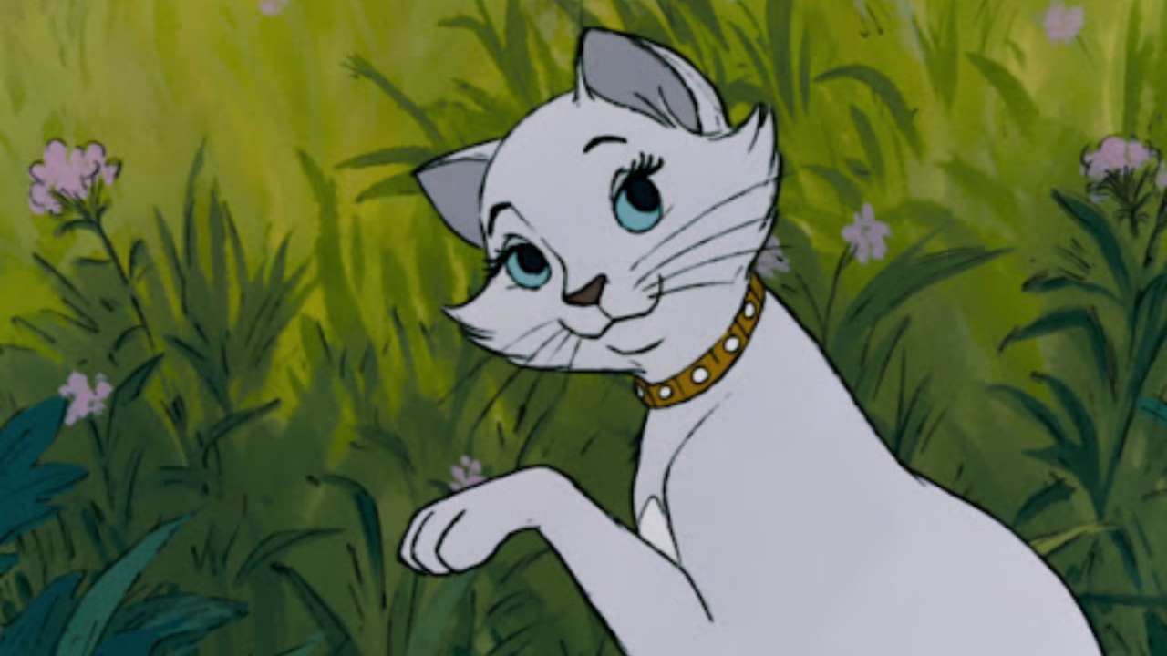 Disney Quiz: quale gatto della Disney assomiglia di più al tuo? 8 Disney