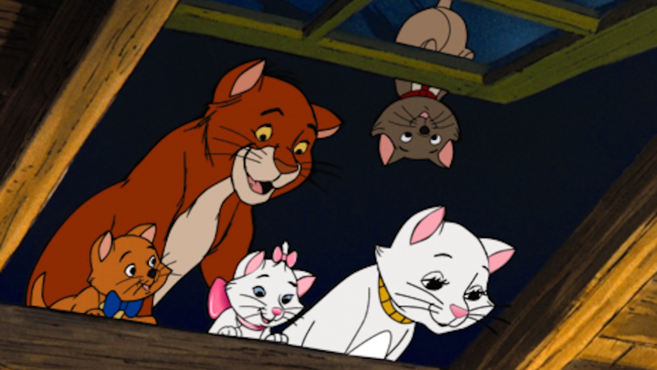 Disney Quiz: quale gatto della Disney assomiglia di più al tuo? 10 Disney