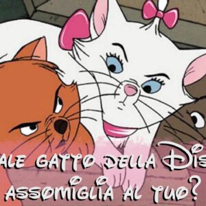 Disney Quiz: quale gatto della Disney assomiglia di più al tuo?