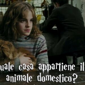 Harry Potter Quiz: in quale casa di Hogwarts verrebbe smistato il tuo animale domestico?