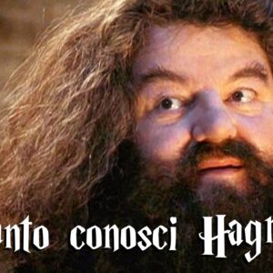 Harry Potter Quiz: quanto conosci il personaggio di Hagrid?