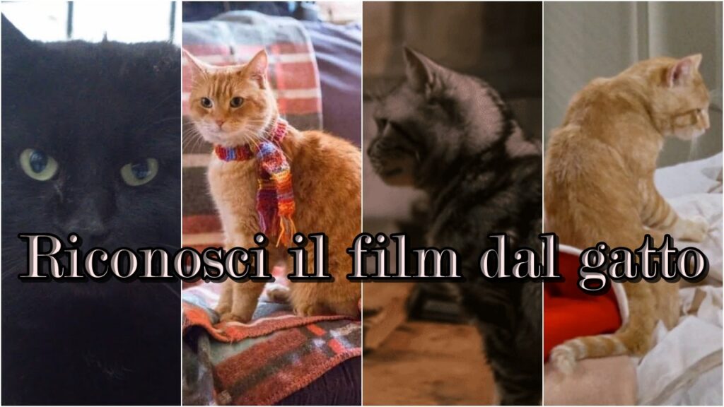 Quiz: sai riconoscere il film famoso dal gatto?