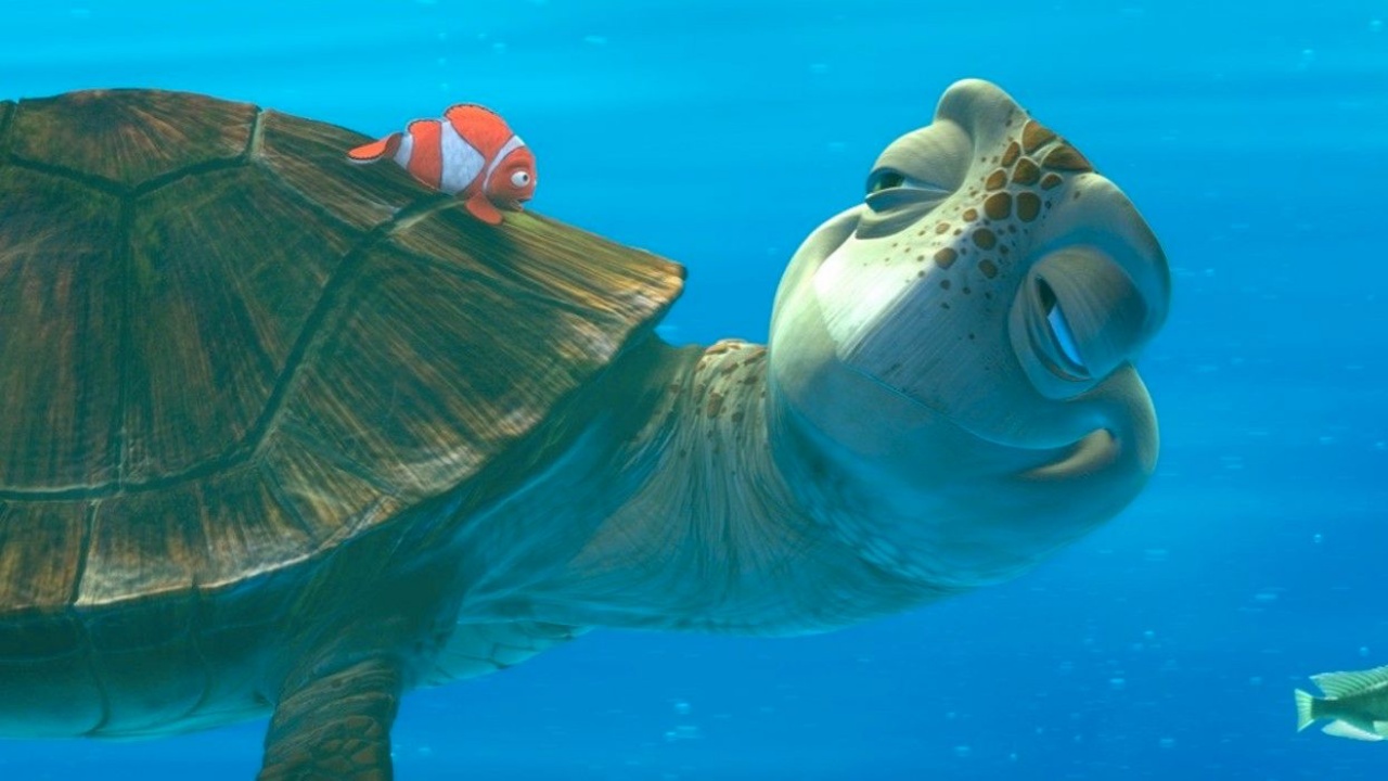 Alla ricerca di Nemo