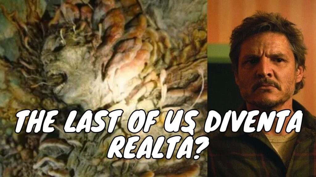 The Last of Us diventa realtà? In India un fungo delle piante ha infettato un uomo