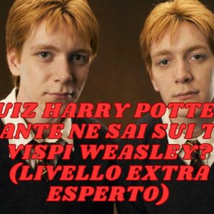 Quiz Harry Potter: quante ne sai sui Tiri Vispi Weasley? (Livello extra esperto)