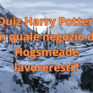 Quiz Harry Potter: in quale negozio di Hogsmeade lavoreresti?