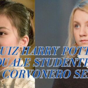 Quiz Harry Potter: quale studente di Corvonero sei?