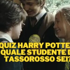 Quiz Harry Potter: quale studente di Tassorosso sei?