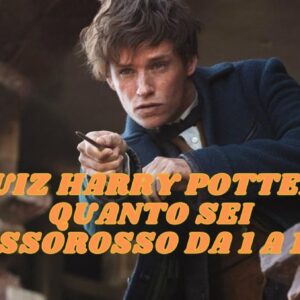 Quiz Harry Potter: quanto sei Tassorosso da 1 a 10?
