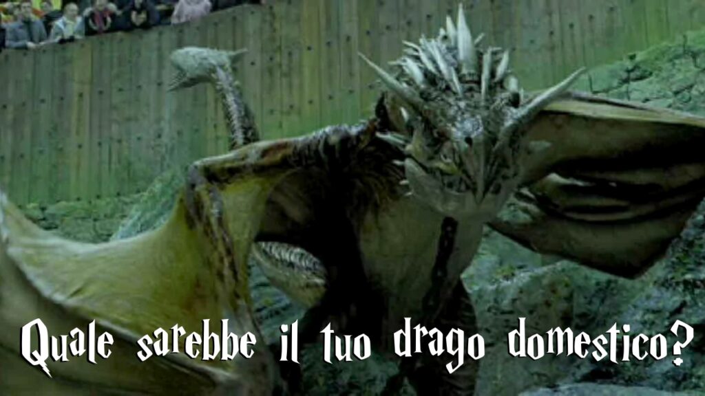 Harry Potter Quiz: quale sarebbe il tuo drago domestico?