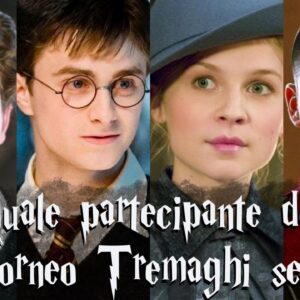 Harry Potter Quiz: quale partecipante del Torneo Tremaghi sei?