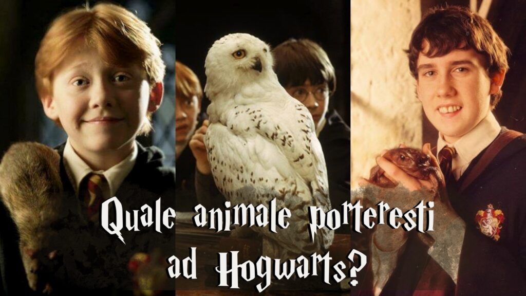 Harry Potter Quiz: quale animale porteresti ad Hogwarts?