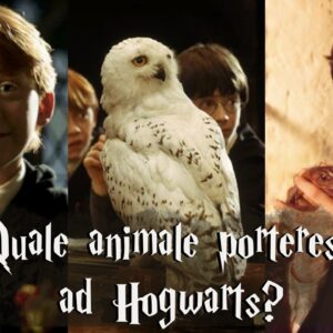 Harry Potter Quiz: quale animale porteresti ad Hogwarts?