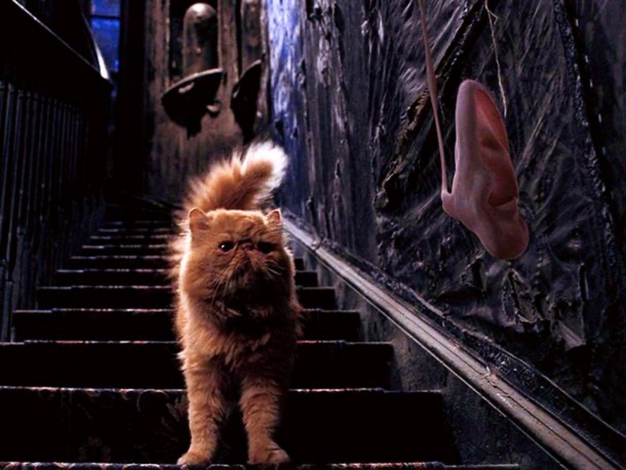 Quiz Harry Potter: quale cattivo sei? 6 harry potter