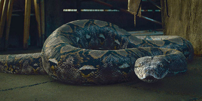 nagini2