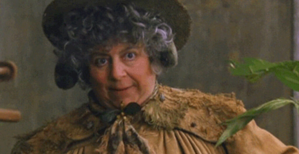 Harry Potter News: Miriam Margolyes torna a parlare delle polemiche sulla saga!