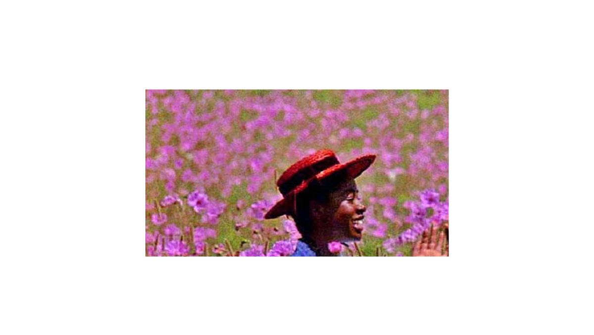 Quiz: indovina il film di Spielberg dal dettaglio! 2 Il colore viola 1