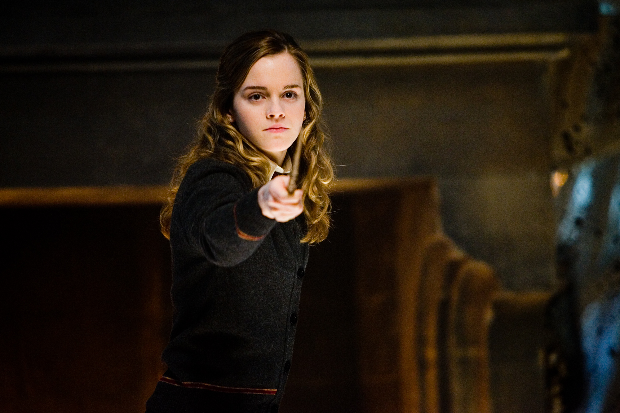 HP F5 order of the phoenix hermione da wand web landscape