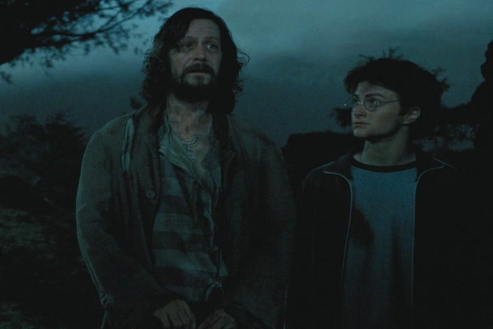 Harry Potter and the Prisoner of Azkaban harry potter 5023507 720 480