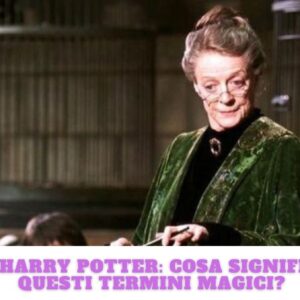 Quiz Harry Potter: cosa significano questi termini magici?