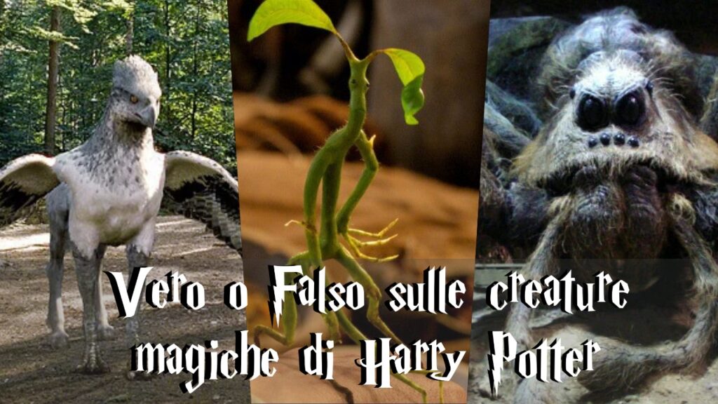 Harry Potter Quiz Vero o Falso: conosci davvero le creature magiche?