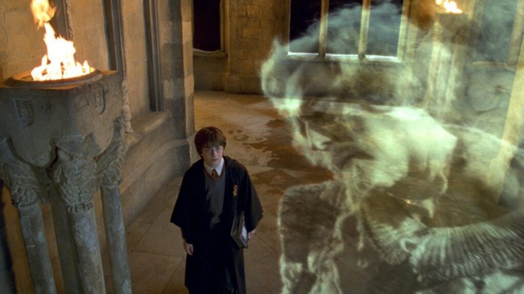 Harry Potter Quiz: chi potrebbe essere il tuo elfo domestico?