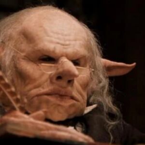 Harry Potter, Warwick Davis e il ritorno a Hogwarts: “Felice di rivedere il mondo magico, ma fuori dalle polemiche”