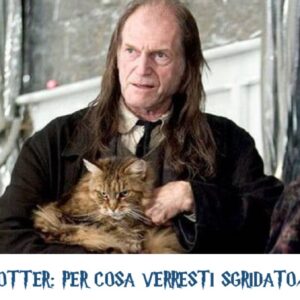 Quiz Harry Potter: per cosa verresti sgridato/a da Gazza?