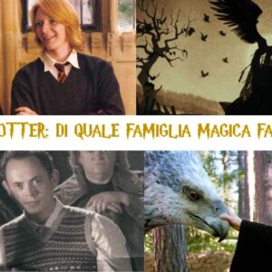 Quiz Harry Potter: di quale famiglia magica faresti parte?