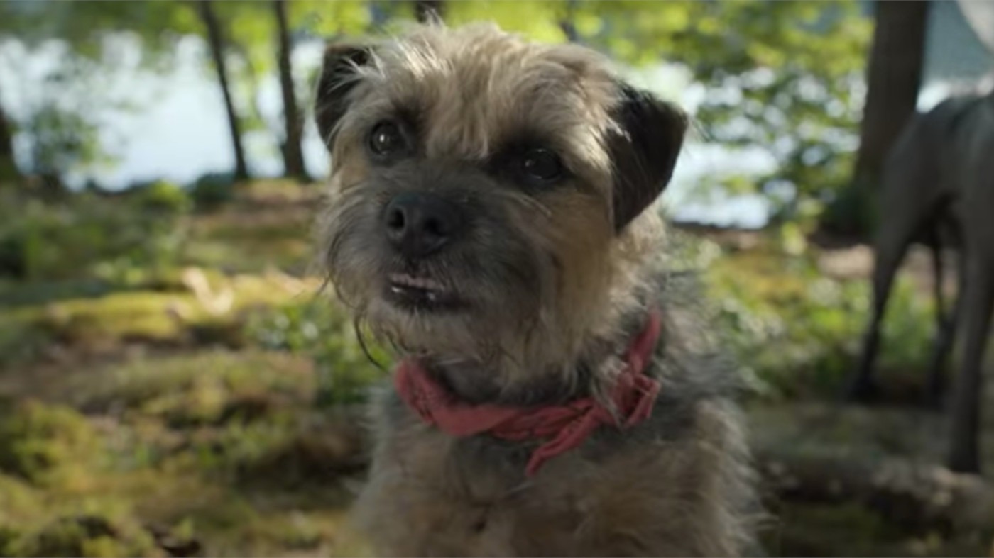 Doggy Style: il trailer della commedia dai produttori di Cocainorso 1 doggy style