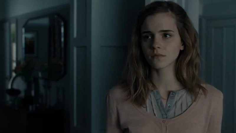 Why Did Hermione Obliviate Her Parents 04