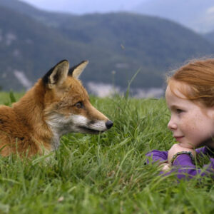 film da vedere stasera in tv