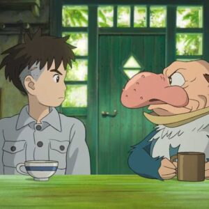 il ragazzo e lairone
