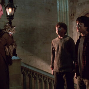 Harry Potter
