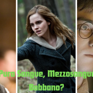 Quiz: in Harry Potter saresti un Puro Sangue o un Nato Babbano?