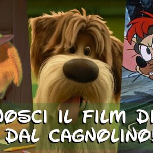 Disney Quiz: da quale film Disney provengono questi cagnolini?