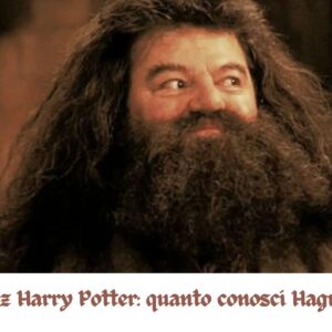 Quiz Harry Potter: quanto conosci Hagrid?