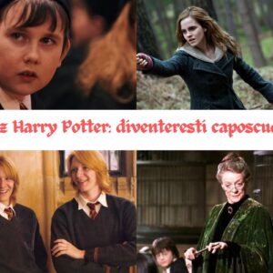 Quiz Harry Potter: diventeresti Caposcuola?