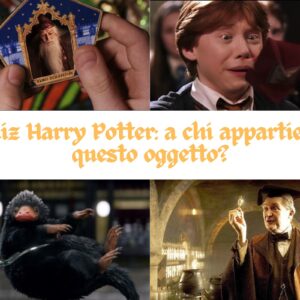 Quiz Harry Potter: a chi appartiene questo oggetto?