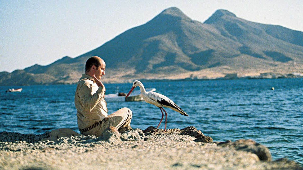 5 film da vedere stasera in tv mercoledì 15 novembre 3 film da vedere stasera in tv,.