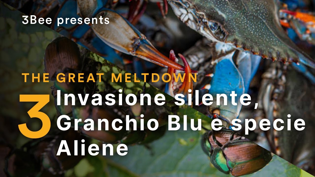 The Great Meltdown 2, la nuova stagione del film di 3Bee sul cambiamento climatico: nella terza puntata il granchio blu e le altre specie aliene 1 the great meltdown 2