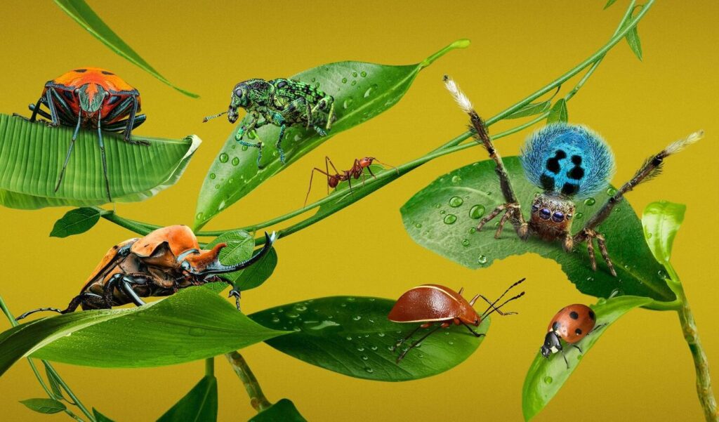 A Real Bug’s Life: la recensione della miniserie National Geographic