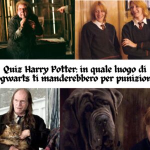Quiz Harry Potter: in quale luogo di Hogwarts ti manderebbero per punizione?