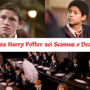 Quiz Harry Potter: sei Seamus o Dean?